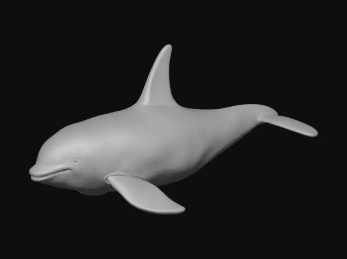 3D model for Orca whale