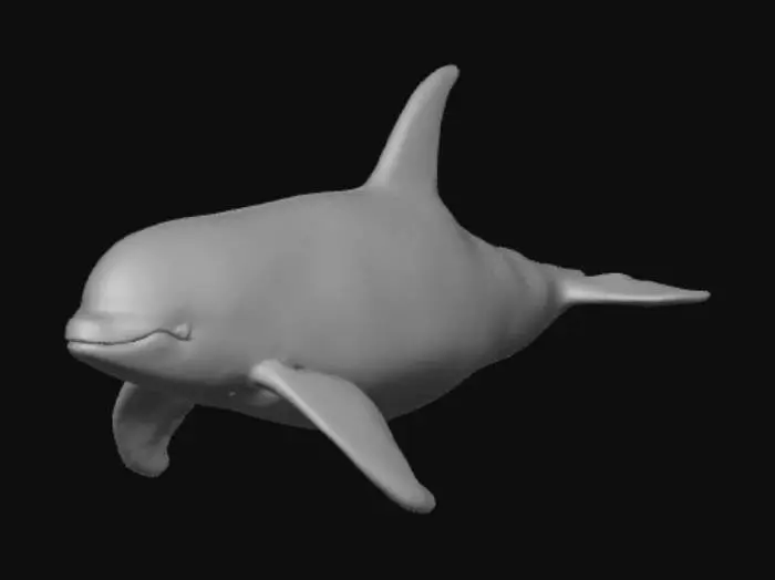 3D model for Orca whale