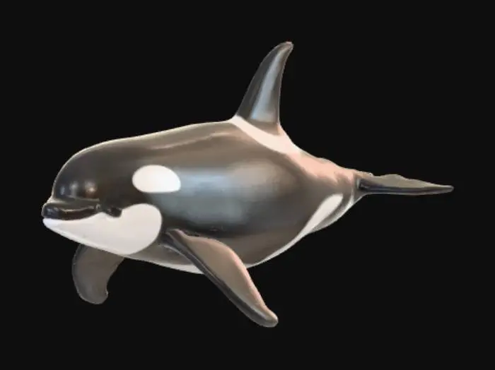 3D model for Orca whale