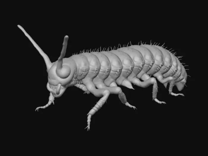 3D model for High detail, caterpillar insect, designed like a caterkiller, posed on a rocky base.