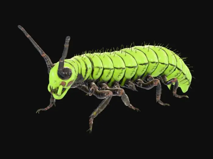 3D model for High detail, caterpillar insect, designed like a caterkiller, posed on a rocky base.