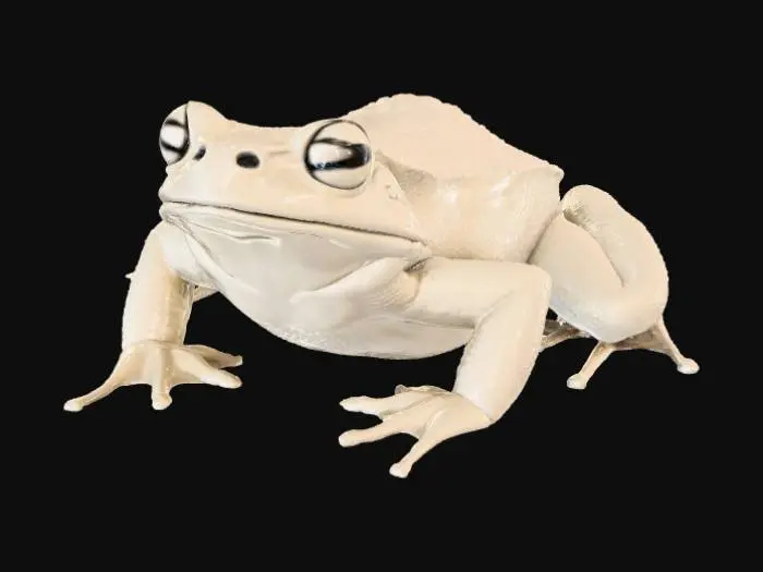 3D model for A high-quality 3D render in a chunky world of warcraft/blizzard art style. Use the exact same pose, proportions, body alignment, and camera angle as the reference: a clean left-side orthographic profile with zero perspective distortion. The creature lies completely flat on its belly with its head resting fully on the ground, neck extended forward, body forming a perfectly straight horizontal line from nose to tail, and all four legs splayed outward in a relaxed, natural position. The front legs angle slightly forward and outward, and the back legs angle slightly backward and outward. Maintain perfect left-right symmetry, smooth rounded shapes, simple soft lighting, and a neutral background. Now recreate this same fixed pose and style, but as a frog, keeping the vinyl texture