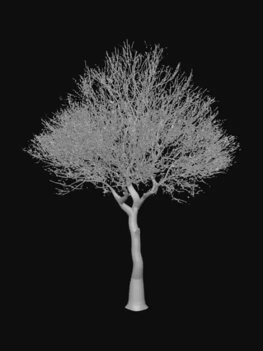 3D model for Low detail, abstract, tree