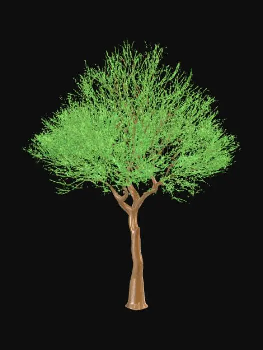 3D model for Low detail, abstract, tree
