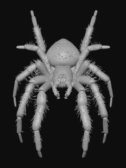 3D model for High detail, creepy spider, halloween wall decor.