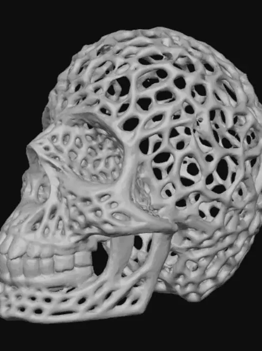 3D model for Prismatic Lattice Skull