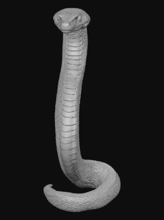 3D model for Snake Evolved Varient