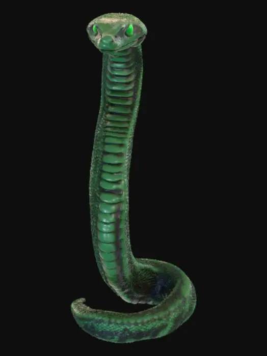 3D model for Snake Evolved Varient