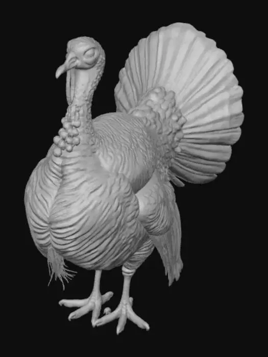3D model for Extravagant Turkey, #Thanksgiving#