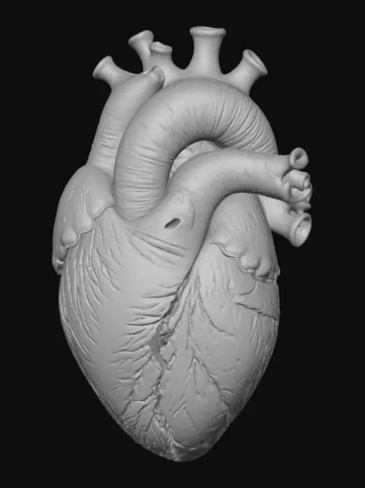 3D model for Heart Breaking Confusion, Music Band Logo