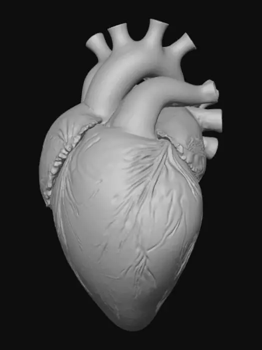 3D model for High detail, abstract, heart felt, "I'm Sorry"