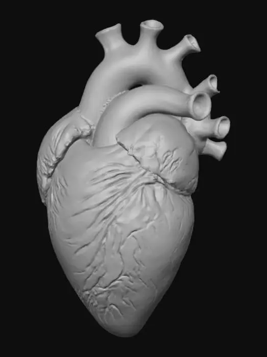 3D model for High detail, abstract, heart felt, "I'm Sorry"