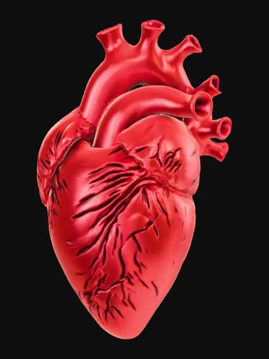 3D model for High detail, abstract, heart felt, "I'm Sorry"