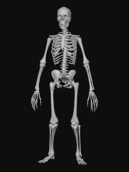 3D model for Low Detail, simple, horror charm, no chain