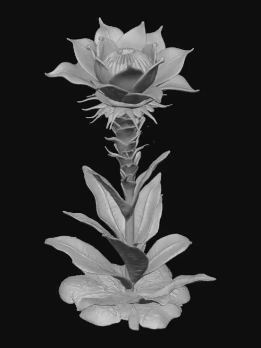 3D model for Abstract detail, massive, man-eatting flower