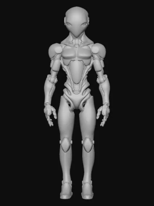 3D model for humahumanuka