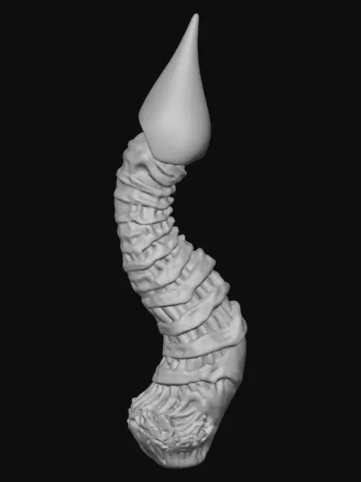 3D model for High detail, Abstract, spire, designed to style anatomy theme, placed on a dark oak wood base.