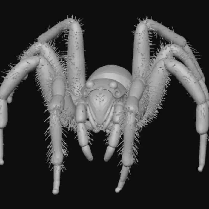 3D model for The Bloodthirsty Berserker Spider