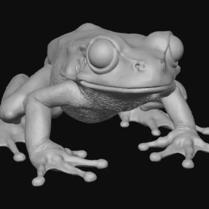 3D model for Frog Evolved Varient