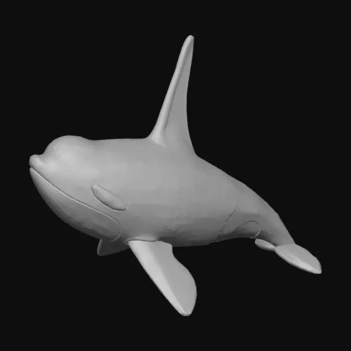 3D model for Orca whale