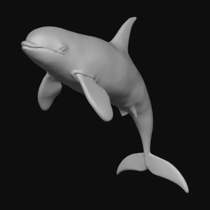 3D model for Orca whale