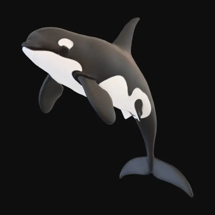 3D model for Orca whale