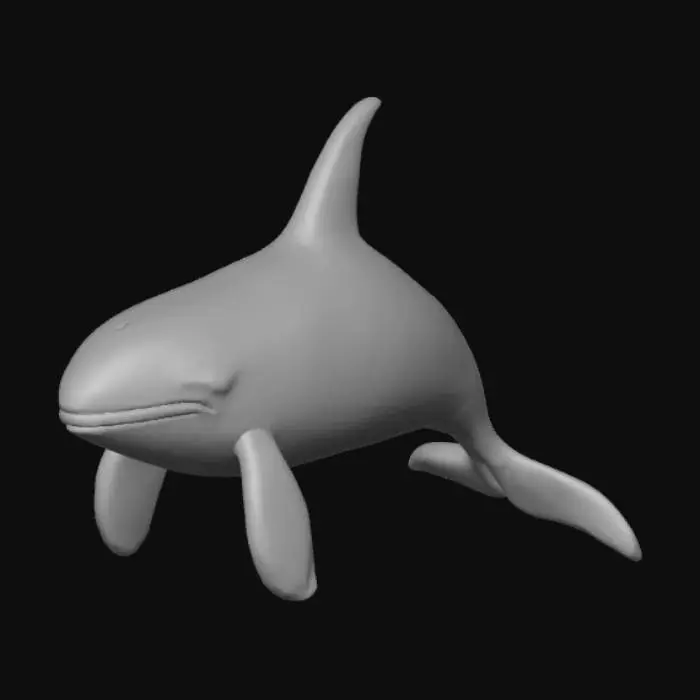 3D model for Orca whale
