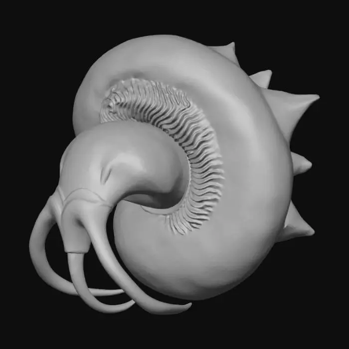 3D model for Nautilus Dreamer