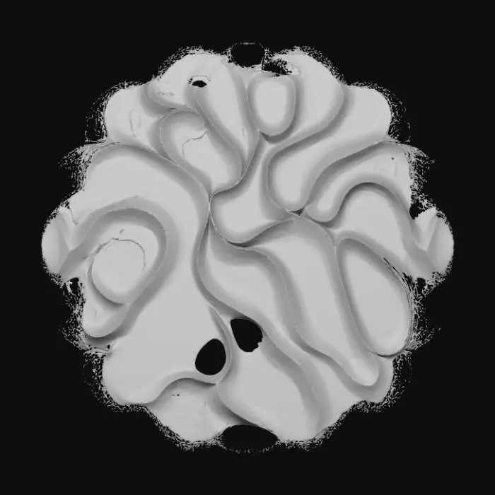 3D model for High detail, abstract, wall art