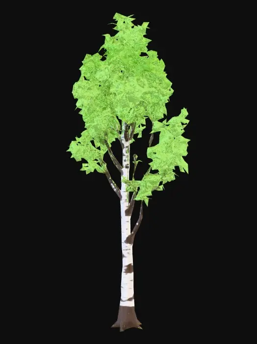 3D model for Create a realistic deciduous tree for a video game environment.
The tree is a birch tree with a slim trunk and light, airy leaf canopy.
Details
White bark with dark markings
Thin branches
Light green leaves
Elegant, natural silhouette
Technical Requirements
Game-ready topology
Optimized for real-time use
Clean UVs
Unity-compatible materials
Neutral background