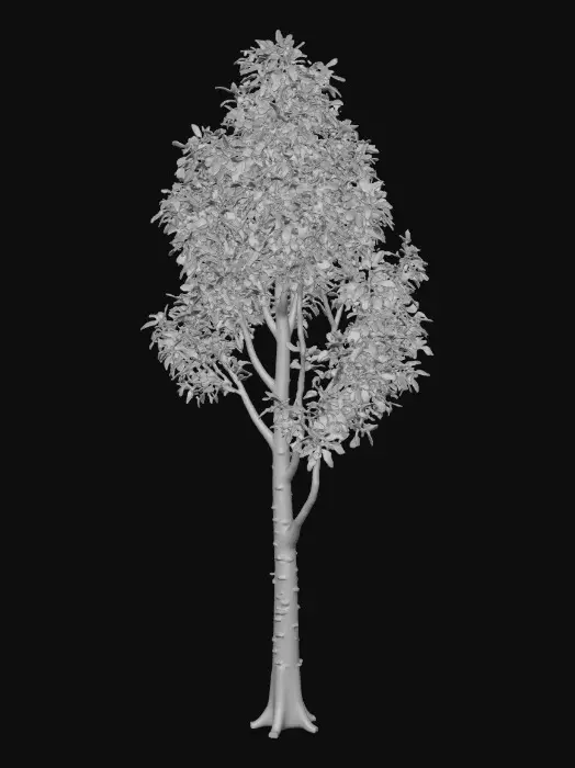 3D model for Create a realistic deciduous tree for a video game environment.
The tree is a birch tree with a slim trunk and light, airy leaf canopy.
Details
White bark with dark markings
Thin branches
Light green leaves
Elegant, natural silhouette
Technical Requirements
Game-ready topology
Optimized for real-time use
Clean UVs
Unity-compatible materials
Neutral background