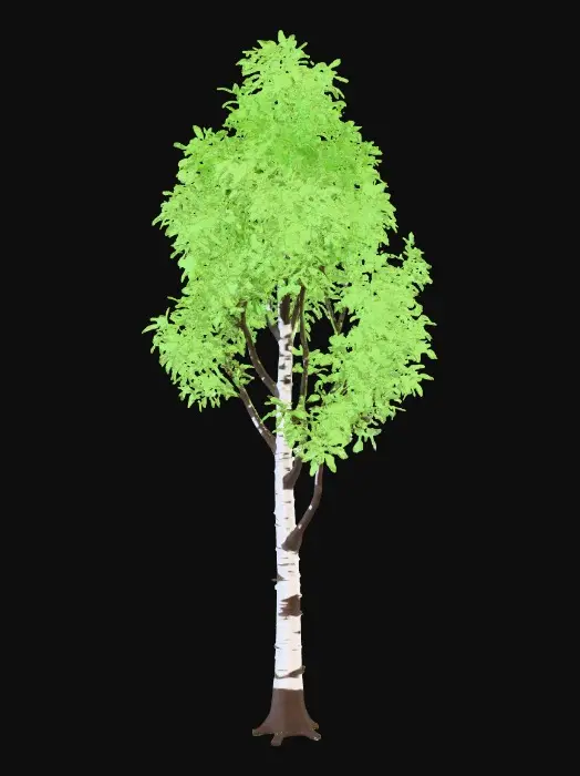 3D model for Create a realistic deciduous tree for a video game environment.
The tree is a birch tree with a slim trunk and light, airy leaf canopy.
Details
White bark with dark markings
Thin branches
Light green leaves
Elegant, natural silhouette
Technical Requirements
Game-ready topology
Optimized for real-time use
Clean UVs
Unity-compatible materials
Neutral background
