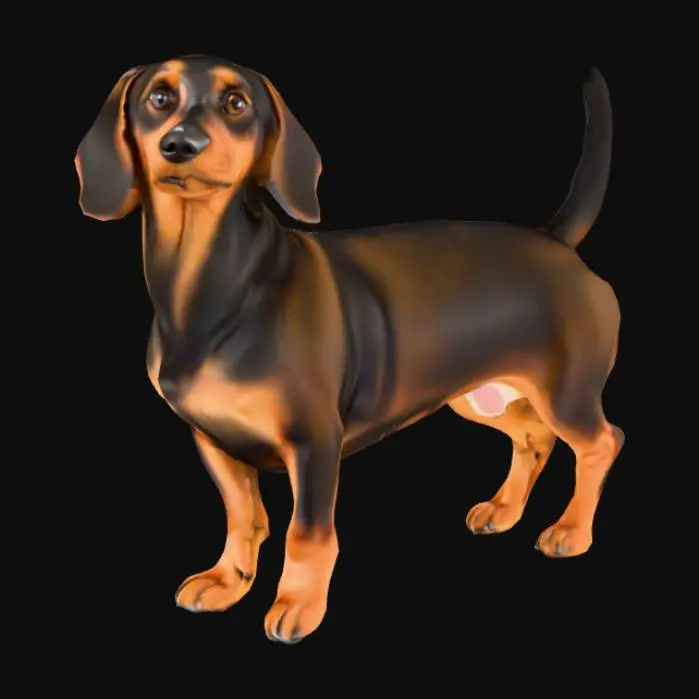 3D model for Realistic Dachshund dog ready for game making and blender