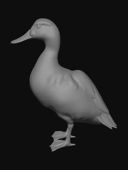 3D model for A male mallard duck standing on its webbed feet, lots of feathers