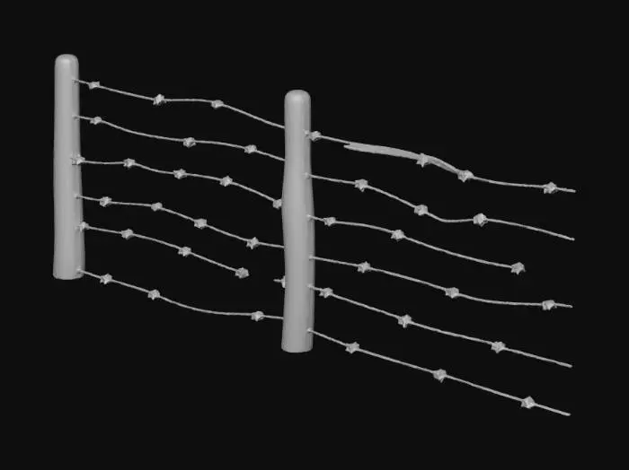 3D model for telli çit