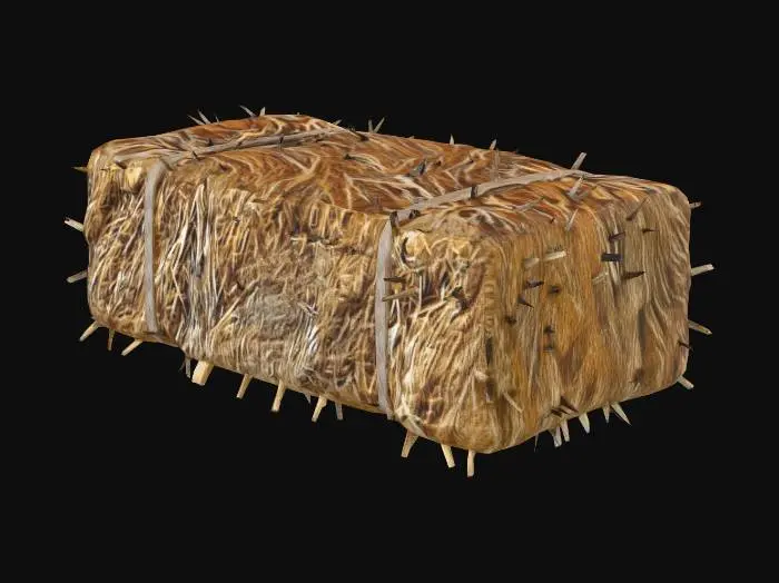 3D model for Hay Bale