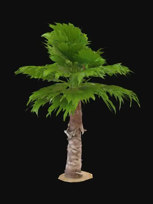 3D model for Tropical Oasis