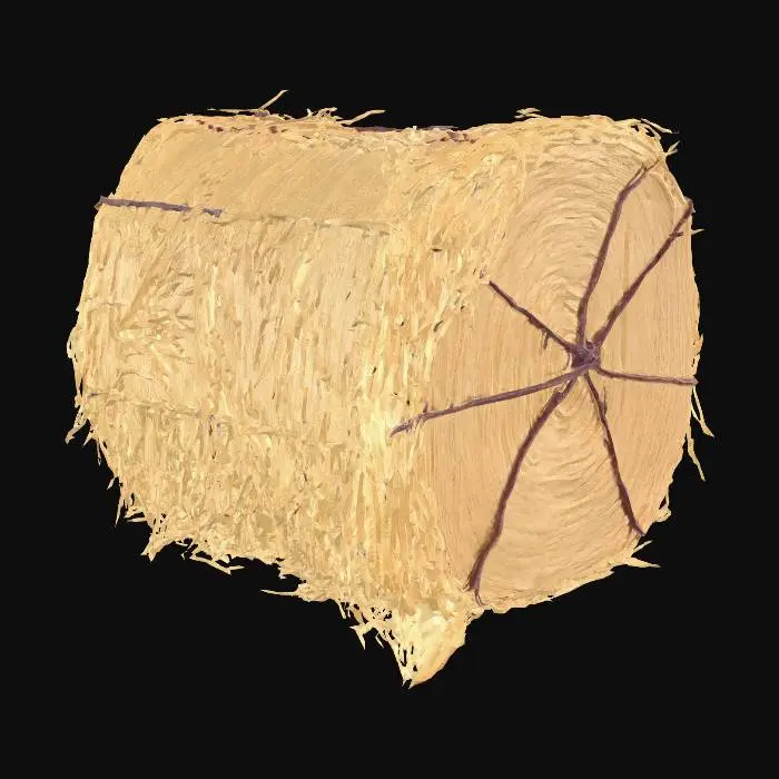 3D model for Large rectangular hay bale, golden yellow and tied with twine, rustic rural farm setup, weathered red barn wood, agricultural tools, realistic game asset, 4k pbr

, rustic rural farm setup, weathered red barn wood, agricultural tools, muddy fields, peaceful but abandoned vibe, realistic game asset, 4k pbr textures
