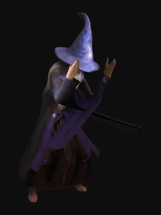 3D model for Mensch, Männlich, Zaubere, T-Pose, Langer Bart, Lange Haare, Zauberhut.