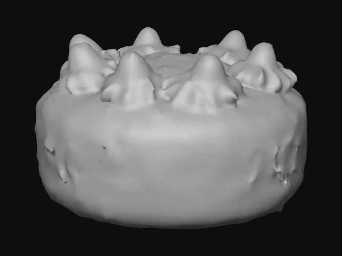 3D model for Raspberry Chocolate "Foret Noire"