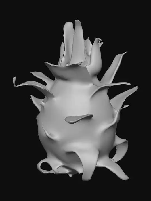 3D model for Dragon Fruit