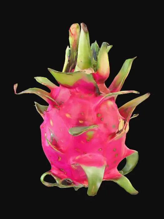 3D model for Dragon Fruit