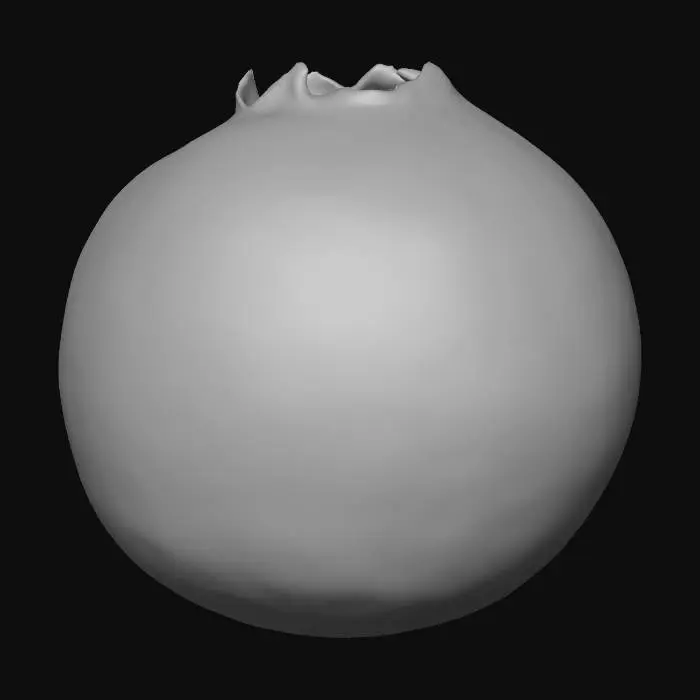 3D model for Blueberry