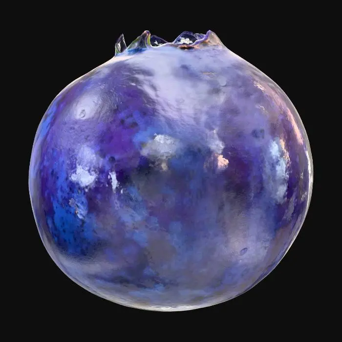 3D model for Blueberry