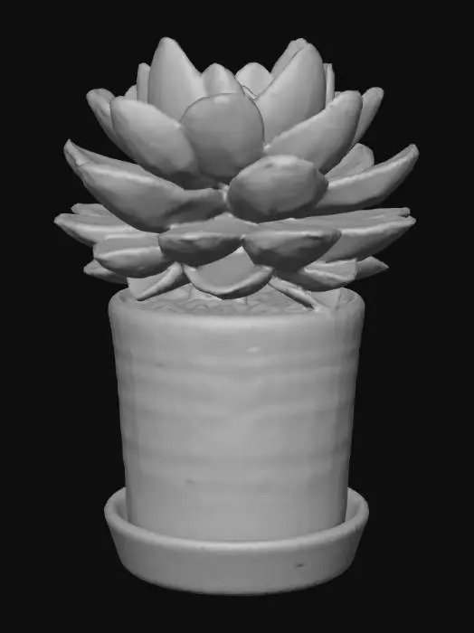 3D model for Succulent Serenity