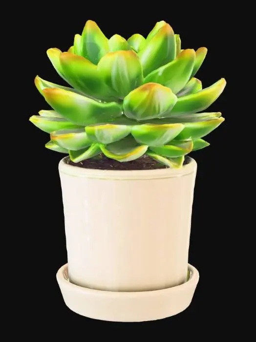 3D model for Succulent Serenity