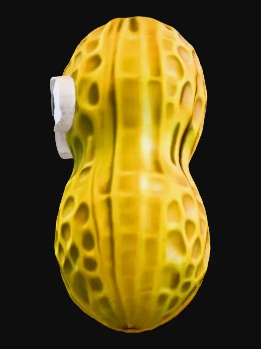 3D model for Googly Peanut