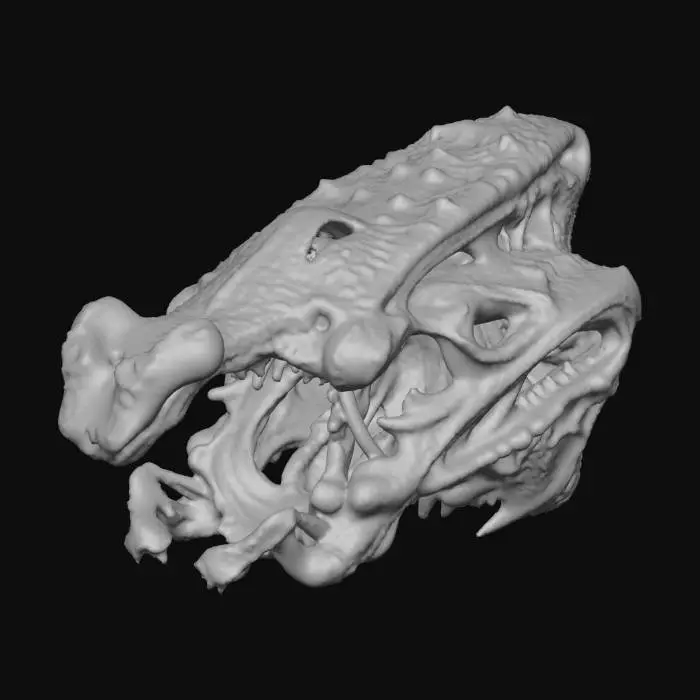 3D model for Emerald Dragon Essence