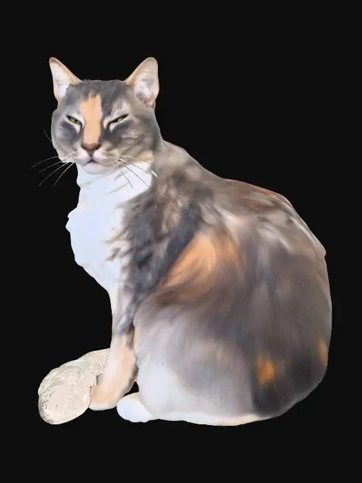 3D model for Mystic Whiskers