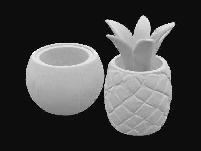 3D model for PIÑA,COCO